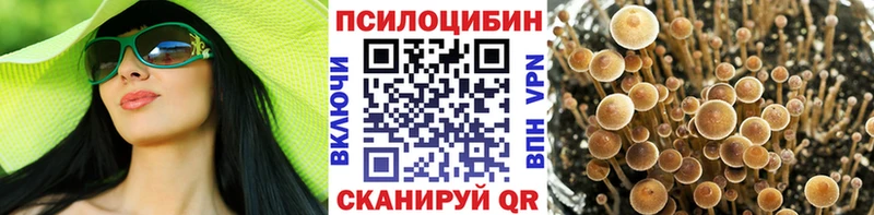 Псилоцибиновые грибы Magic Shrooms  Купить где  Шатура 